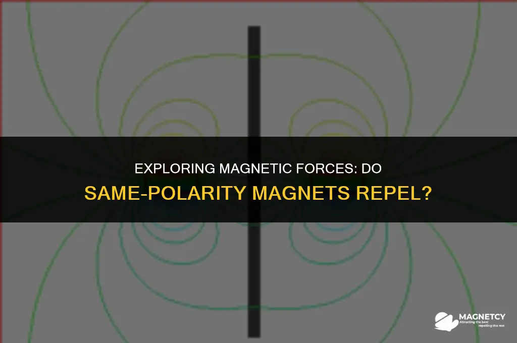 do magnets repel if they are the same