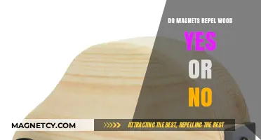 Exploring Magnetism: Do Magnets Repel Wood? The Definitive Answer