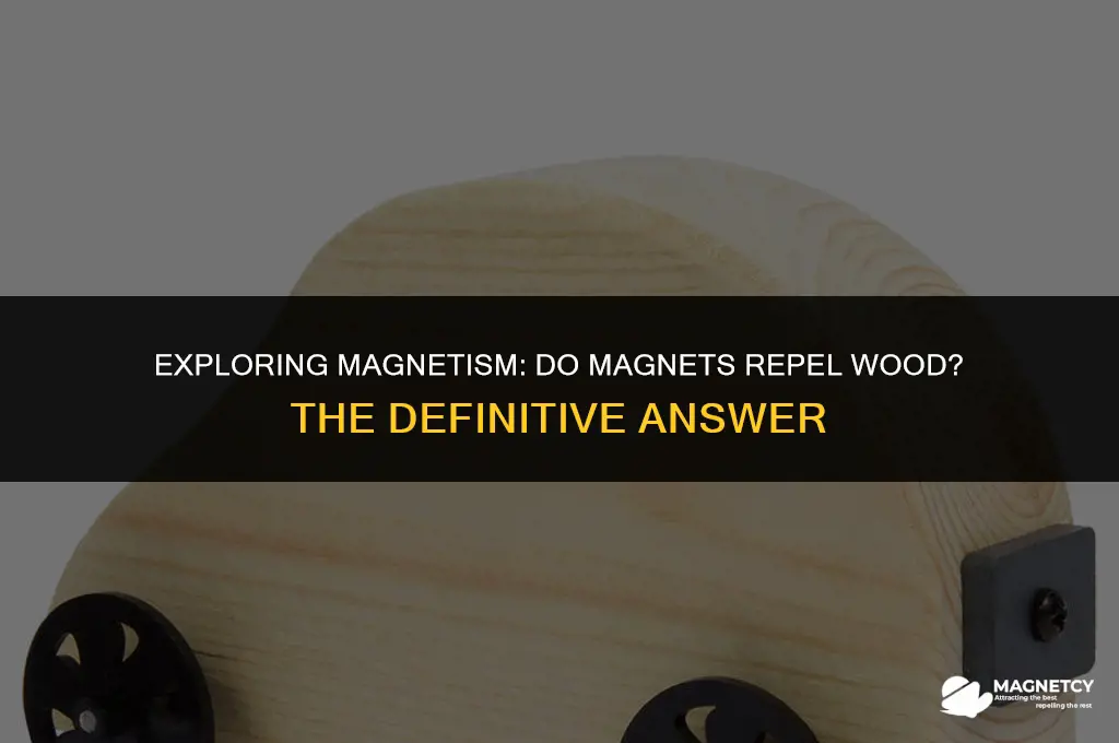do magnets repel wood yes or no
