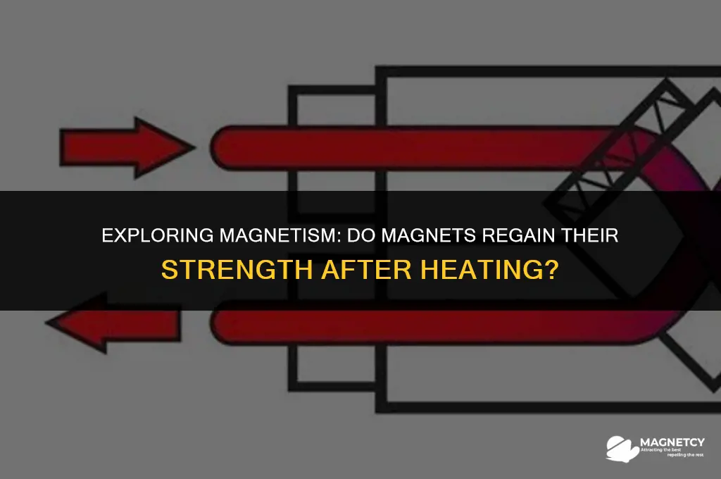 do magnets return to their nirmal magnetism after heating
