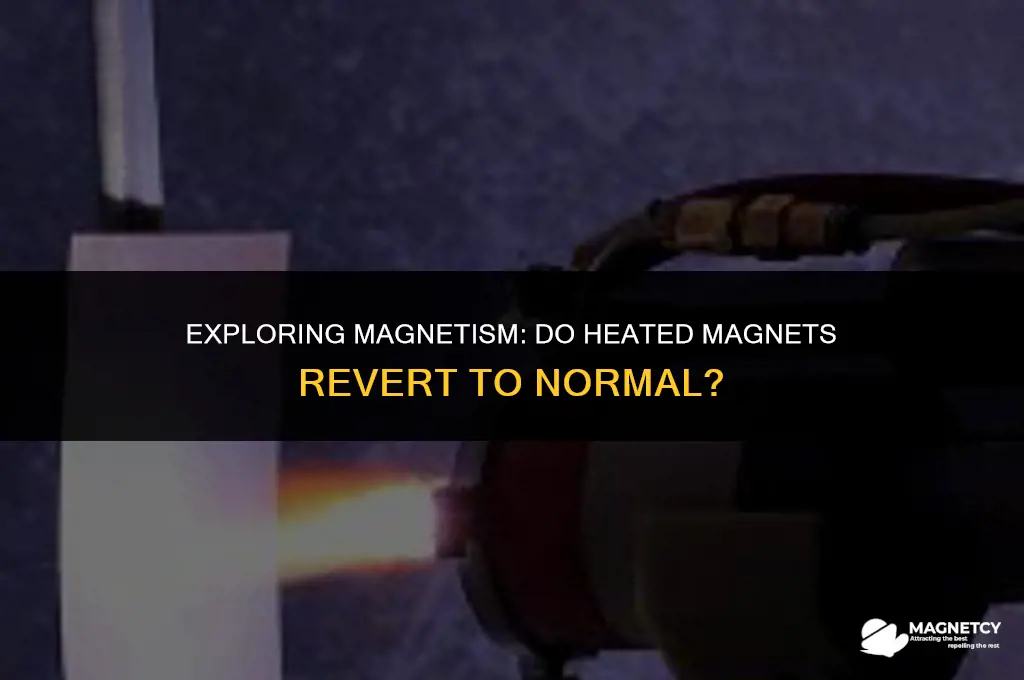 do magnets return to their normal magnesium after heating