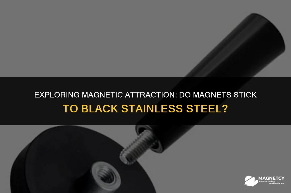 do magnets stich to black stainless steel