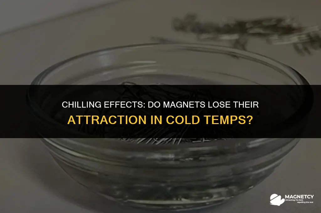 do magnets stop working when cold