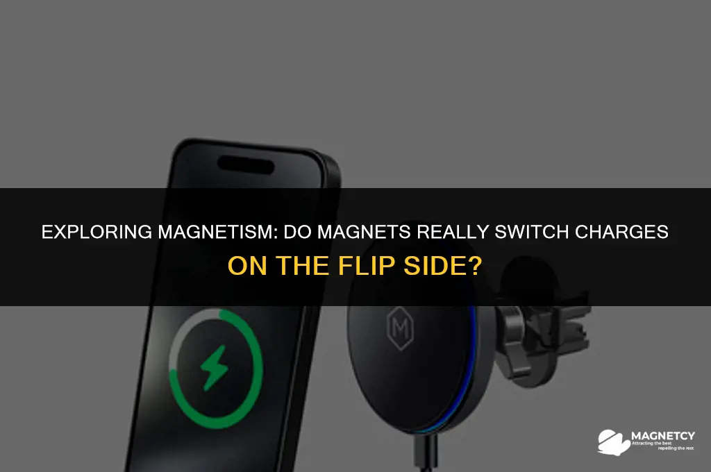 do magnets switch charges on the other side