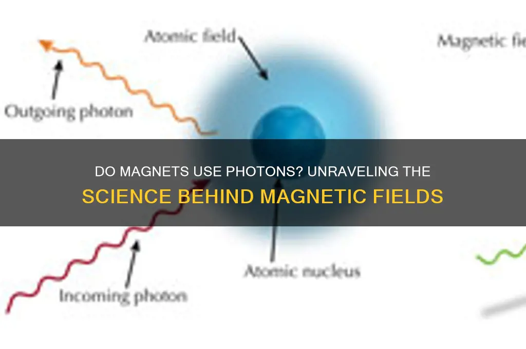 do magnets use photons