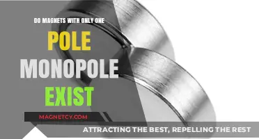 Exploring the Myth of Monopole Magnets: A Scientific Journey