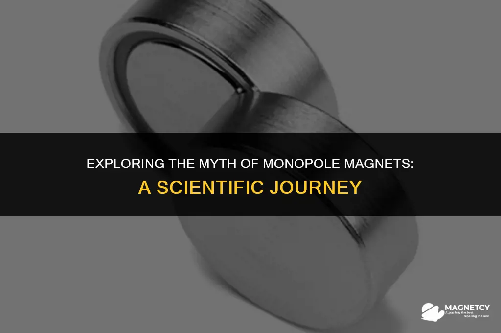 do magnets with only one pole monopole exist