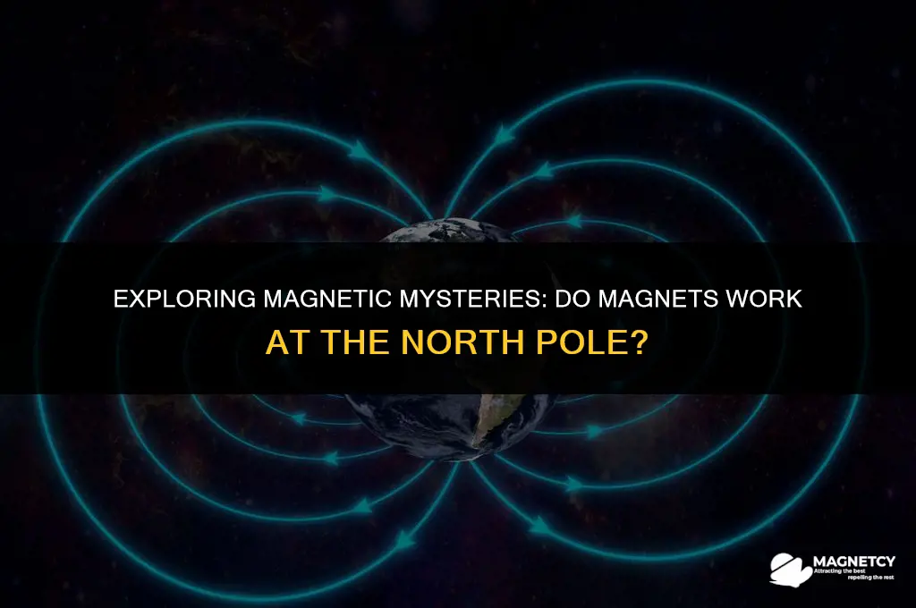 do magnets work at the north pole