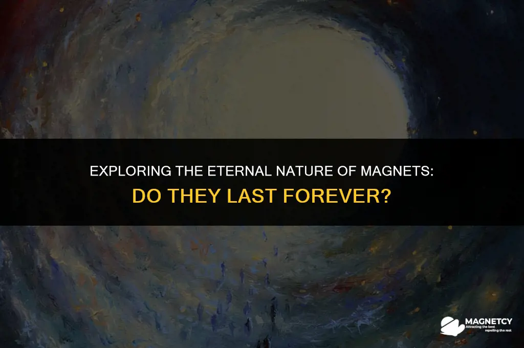 do magnets work forever