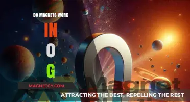 Exploring Magnetism in Zero Gravity: Do Magnets Still Work?
