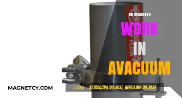 Exploring Magnetism: Do Magnets Function in a Vacuum?