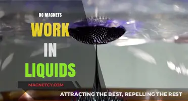 Exploring Magnetism: Do Magnets Work in Liquids?