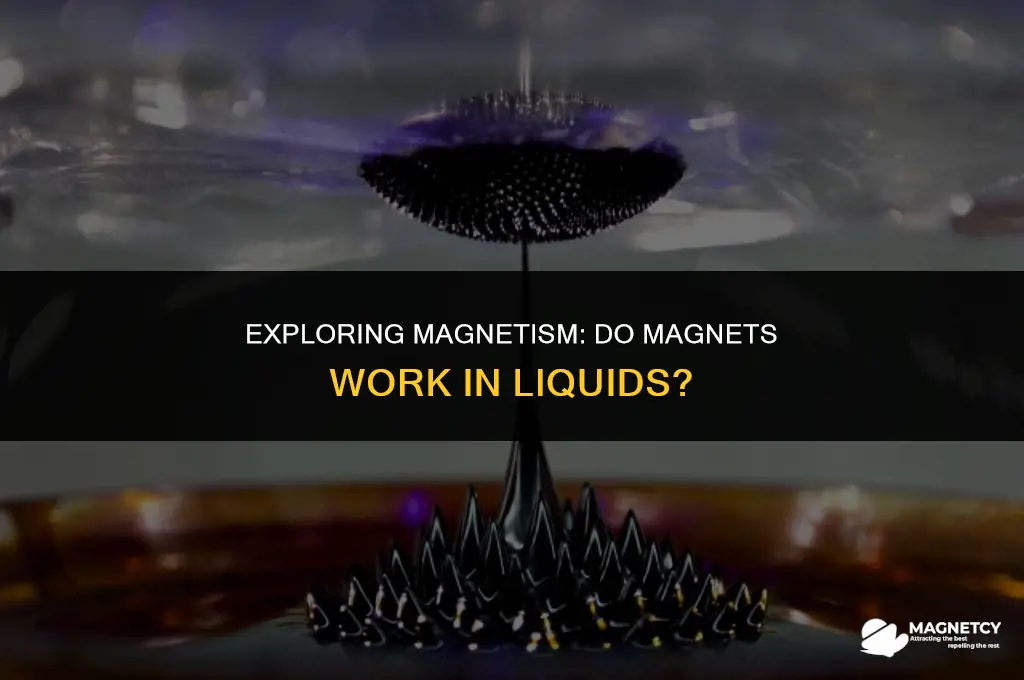 do magnets work in liquids