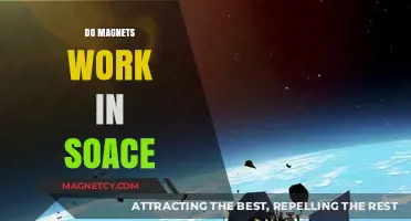 Exploring Magnetism Beyond Earth: Do Magnets Work in Space?