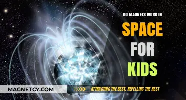 Exploring Magnetic Wonders: Do Magnets Work in Space for Kids?