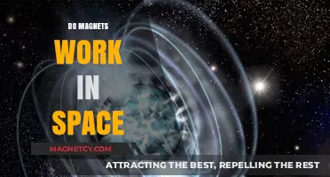Exploring Magnetic Forces Beyond Earth: Do Magnets Work in Space?
