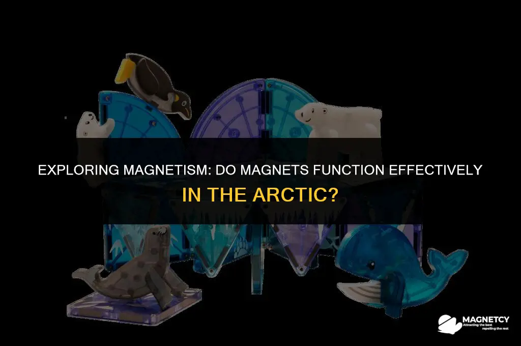 do magnets work in the artic