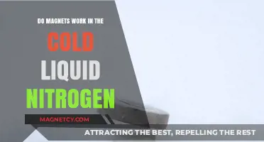 Exploring Magnetism's Chill: Do Magnets Function in Liquid Nitrogen?