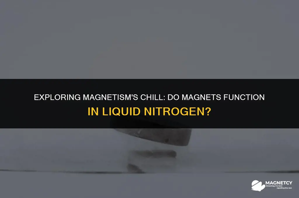 do magnets work in the cold liquid nitrogen