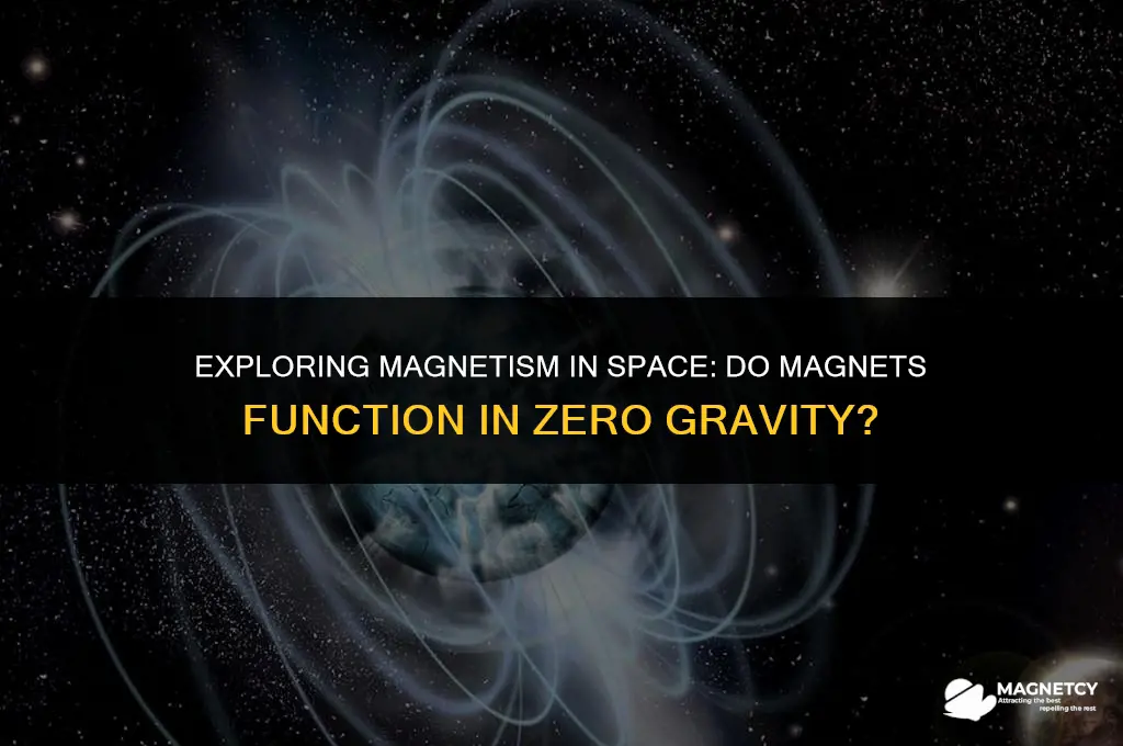 do magnets work in zero gravity