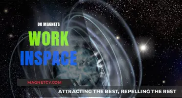 Exploring Magnetism Beyond Earth: Do Magnets Work in Space?