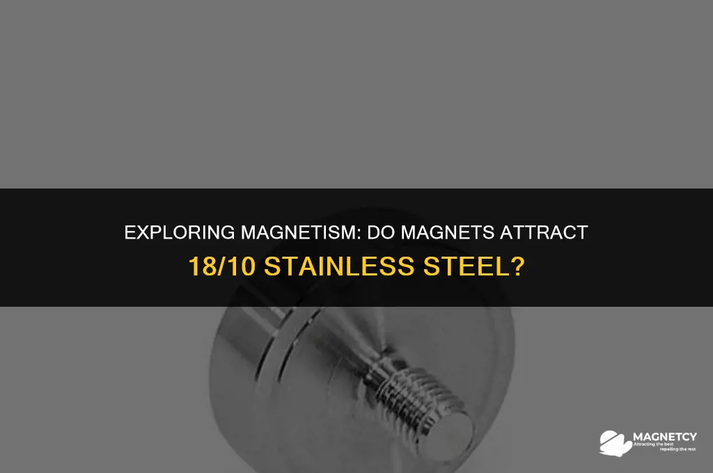 do magnets work on 18 10 stainless steel