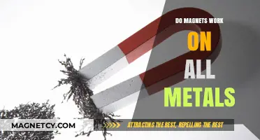Exploring Magnetism: Which Metals Attract and Which Repel?