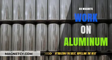 Exploring the Magnetic Properties of Aluminum: Facts and Myths