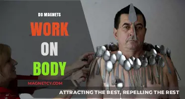 Exploring the Science: Do Magnets Really Work on the Human Body?