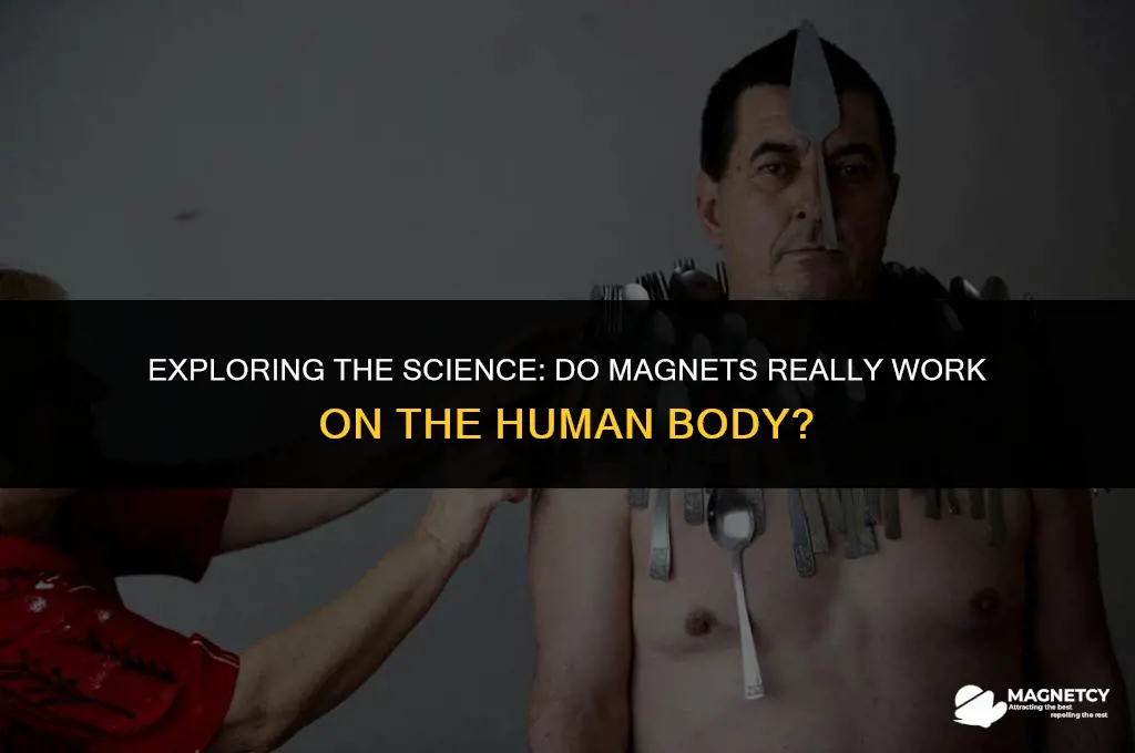 do magnets work on body