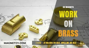 Exploring Magnetic Properties: Do Magnets Work on Brass?