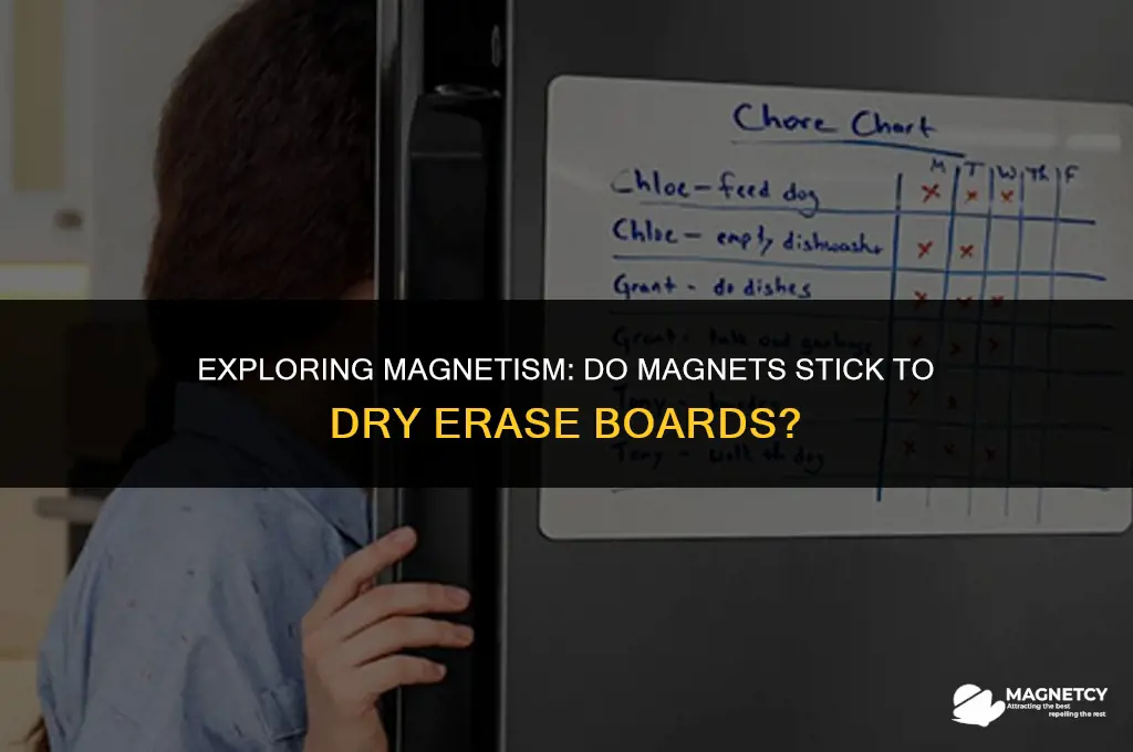 do magnets work on dry erasae board