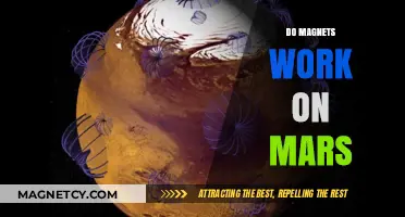 Magnetic Mysteries: Do Magnets Work on Mars?