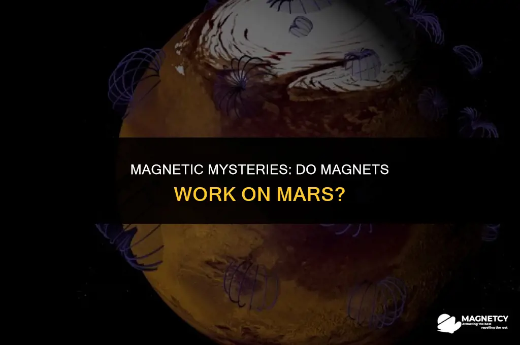 do magnets work on mars