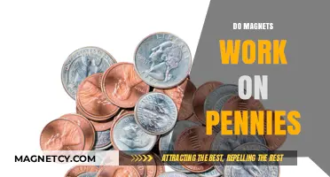 Unlocking the Secrets: Do Magnets Really Work on Pennies?