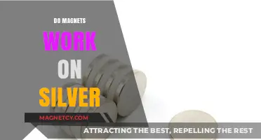 Unlocking the Mystery: Do Magnets Really Work on Silver?