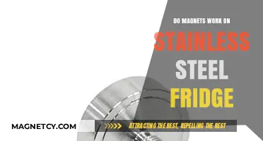 Exploring Magnetism: Do Magnets Stick to Stainless Steel Fridges?