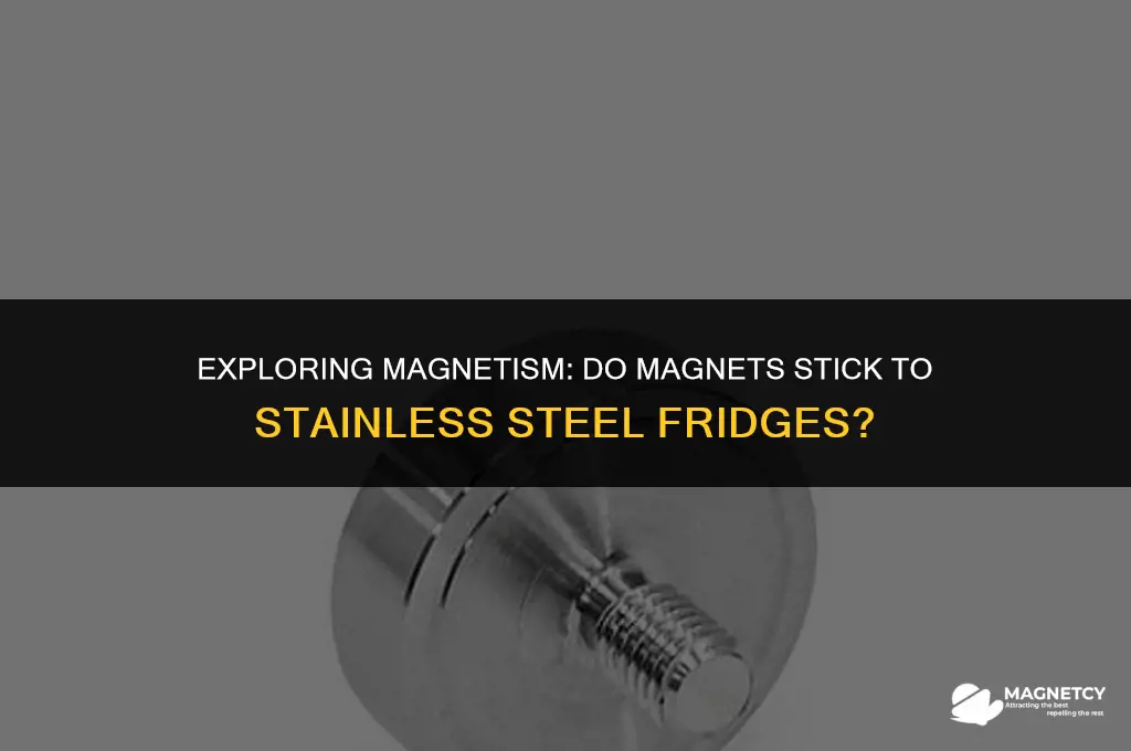 do magnets work on stainless steel fridge