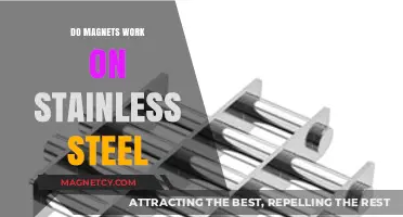 Exploring Magnetism: Do Magnets Work on Stainless Steel?