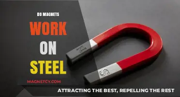 Exploring Magnetic Attraction: Do Magnets Work on Steel?