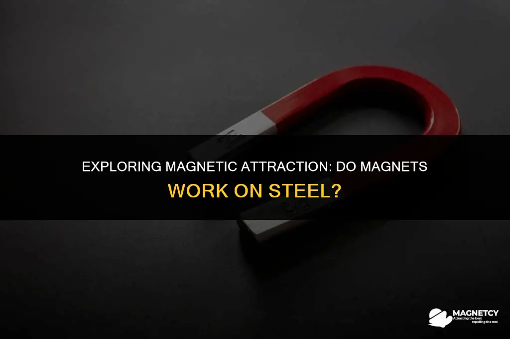 do magnets work on steel