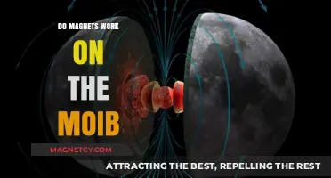 Exploring the Mysteries: Do Magnets Work on the Moon?