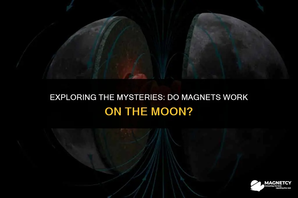 do magnets work on the moib