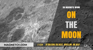 Lunar Mysteries: Exploring Magnetism on the Moon's Surface