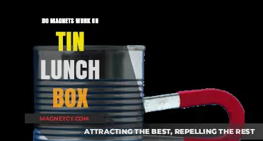 Exploring Magnetic Mysteries: Do Magnets Stick to Tin Lunch Boxes?