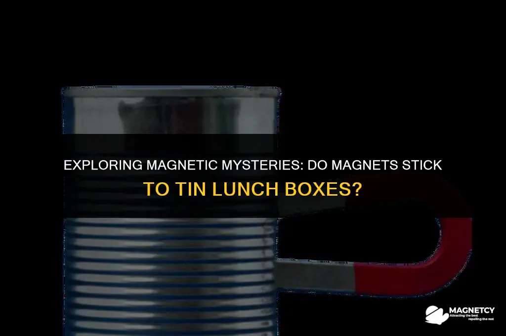 do magnets work on tin lunch box