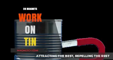 Exploring Magnetic Attraction: Do Magnets Work on Tin?