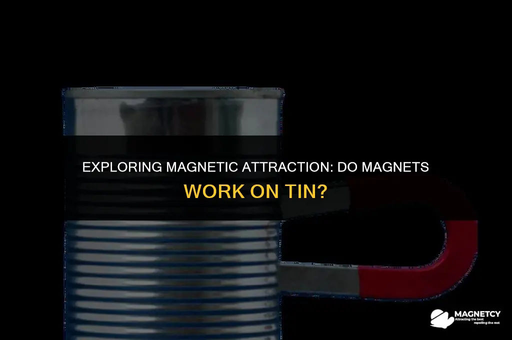 do magnets work on tin