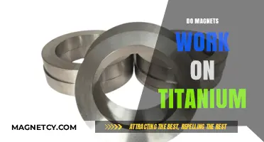 Exploring the Magnetic Properties of Titanium: Facts and Myths