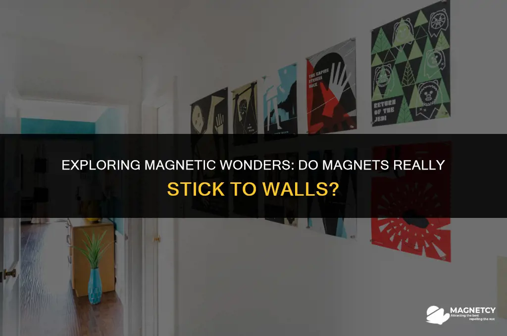 do magnets work on walls